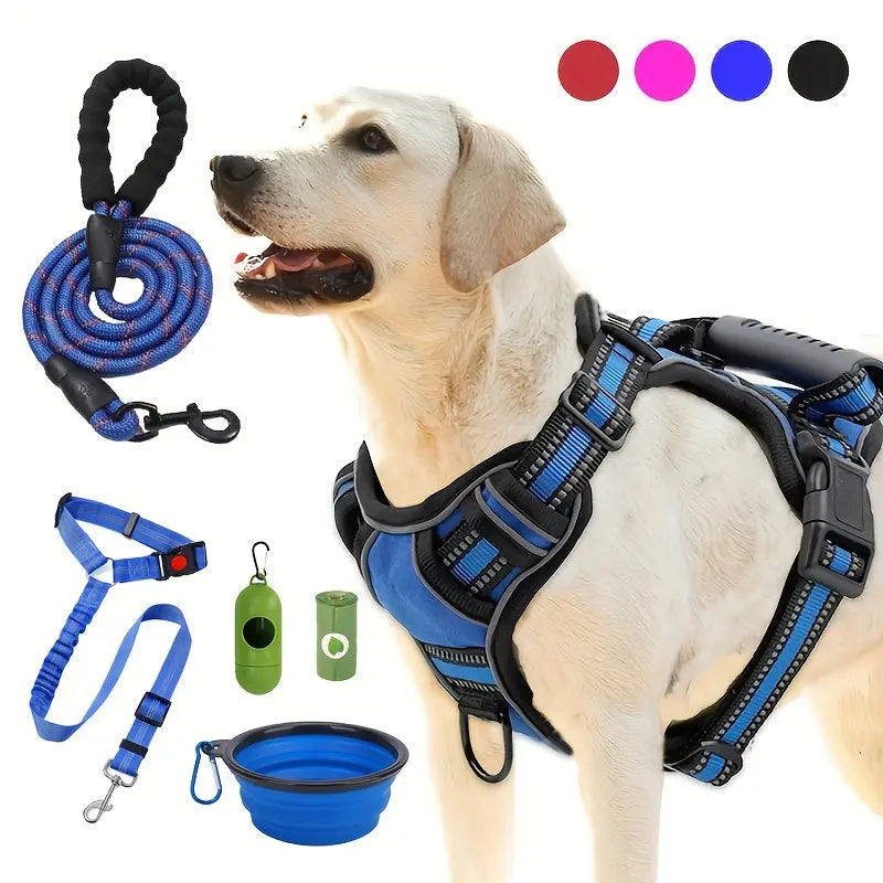 Pets Accessories