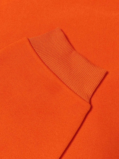 Disney Stitch Official Stitch Sweater - Women's Hooded Pullover Sweatshirt Maximus Echo