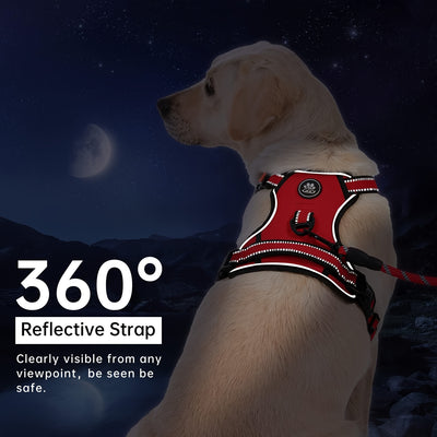 Reflective Adjustable No Pull Dog Harness | Breathable Dog Collar With Handle, No Choke Pet Vest For Small And Large Dogs - Maximus Echo
