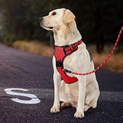 Reflective Adjustable No Pull Dog Harness | Breathable Dog Collar With Handle, No Choke Pet Vest For Small And Large Dogs - Maximus Echo